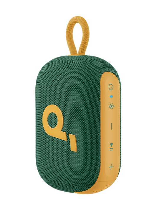Soundcore by Anker Select 4 Go Waterproof Portable Bluetooth Speaker – Springbok Limited Edition