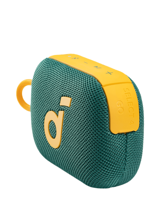 Soundcore by Anker Select 4 Go Waterproof Portable Bluetooth Speaker – Springbok Limited Edition