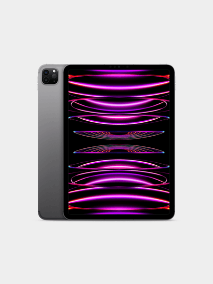 Apple iPad Pro 11-inch WIFI + Cellular, 256GB- Space Grey 4th Generation with Miccory Dou Mesh Tip Stylus Pen| Store Display| (UNUSED)