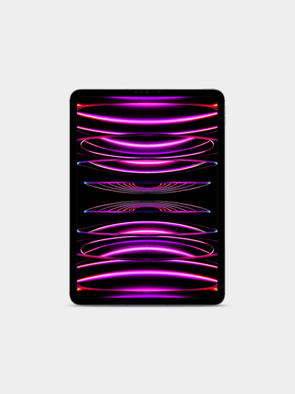 Apple iPad Pro 11-inch WIFI + Cellular, 256GB- Space Grey 4th Generation with Miccory Dou Mesh Tip Stylus Pen| Store Display| (UNUSED)