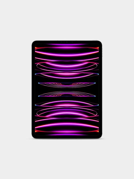 Apple iPad Pro 11-inch WIFI + Cellular, 256GB- Space Grey 4th Generation with Miccory Dou Mesh Tip Stylus Pen| Store Display| (UNUSED)