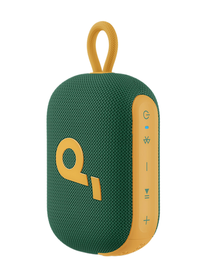 Soundcore by Anker Select 4 Go Waterproof Portable Bluetooth Speaker – Springbok Limited Edition
